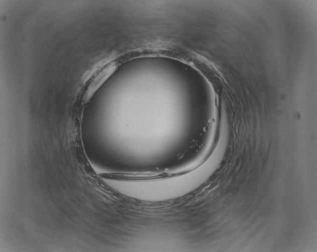 X0000063451160200601201213