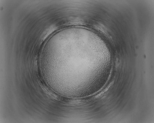 X0000063451162200601201213