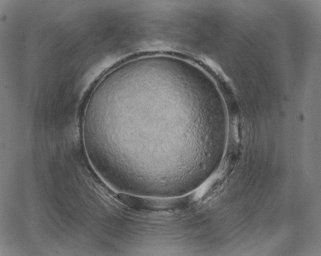 X0000063451167200601201213
