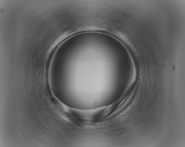 X0000063451173200601201213