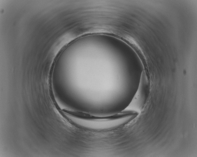 X0000063451181200601201212