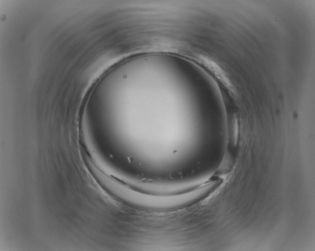 X0000063451184200601201212