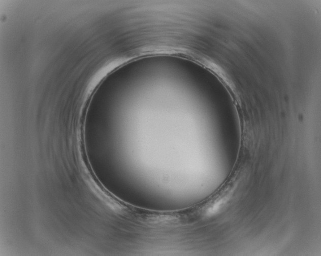X0000063451187200601201212