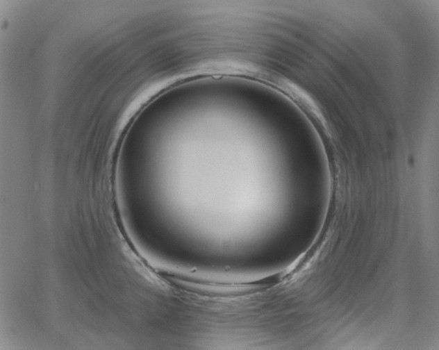 X0000063451192200601201212