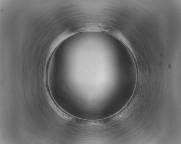 X0000063451195200601201212