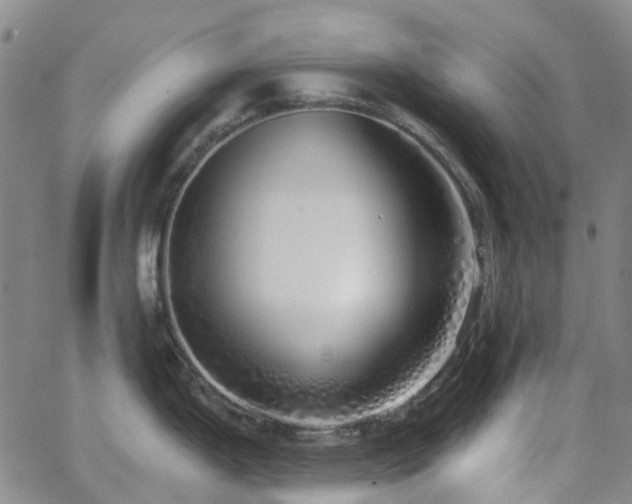 X0000063451199200601201212