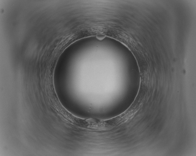 X0000063451201200601201211