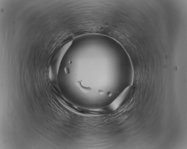 X0000063451202200601201211