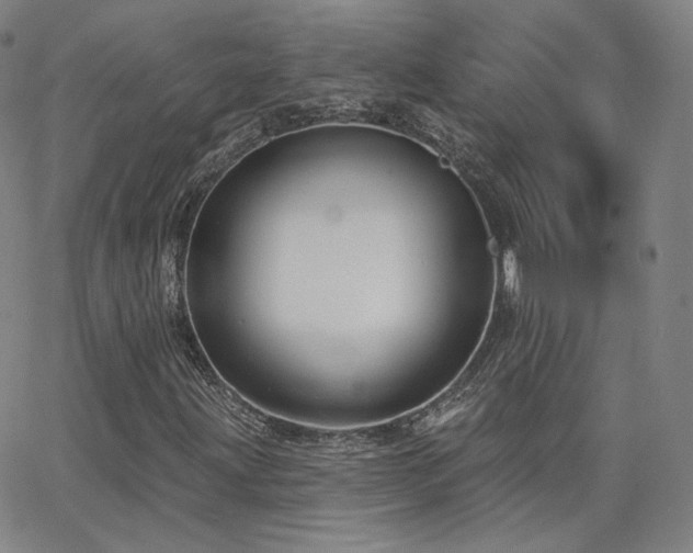 X0000063451203200601201211