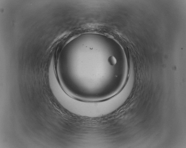 X0000063451206200601201211