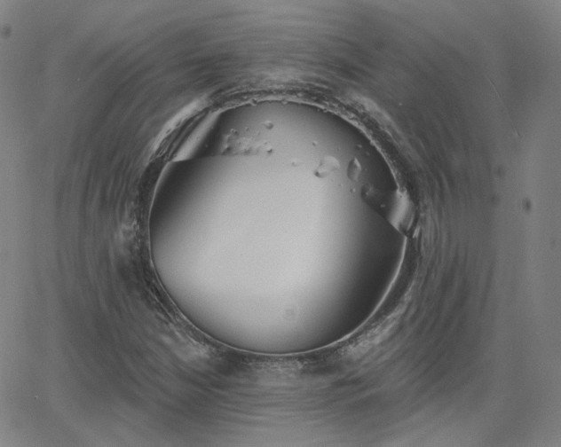 X0000063451210200601201211