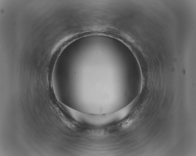 X0000063451214200601201211
