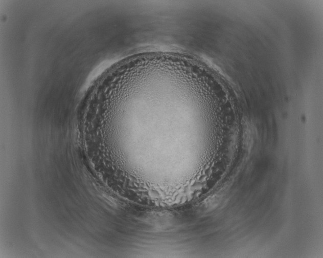 X0000063451215200601201212
