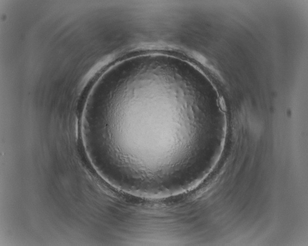 X0000063451221200601201212