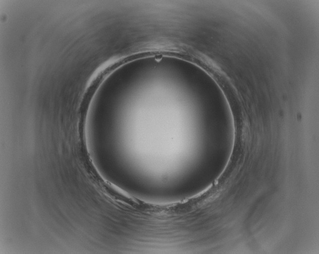 X0000063451222200601201212
