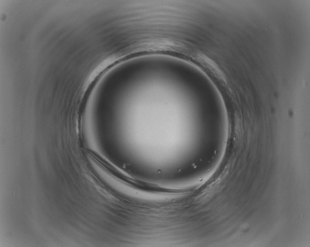 X0000063451226200601201212