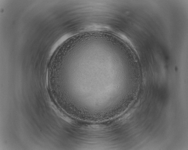 X0000063451227200601201212
