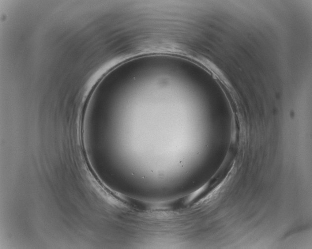 X0000063451246200601201212