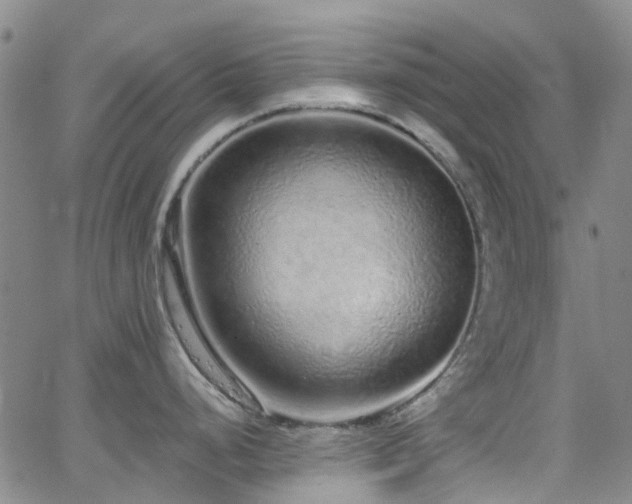 X0000063451248200601201212