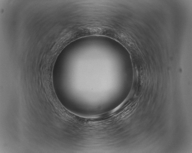 X0000063451249200601201211