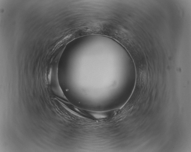 X0000063451250200601201211