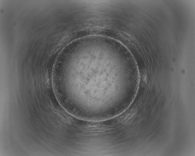 X0000063451252200601201211