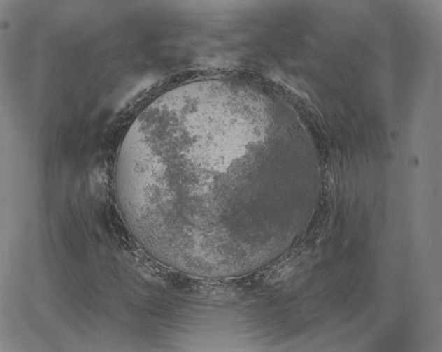 X0000063451254200601201211