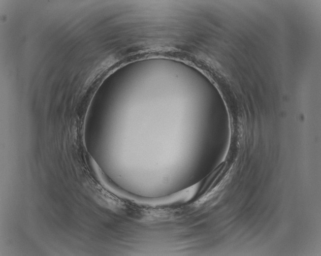 X0000063451257200601201211
