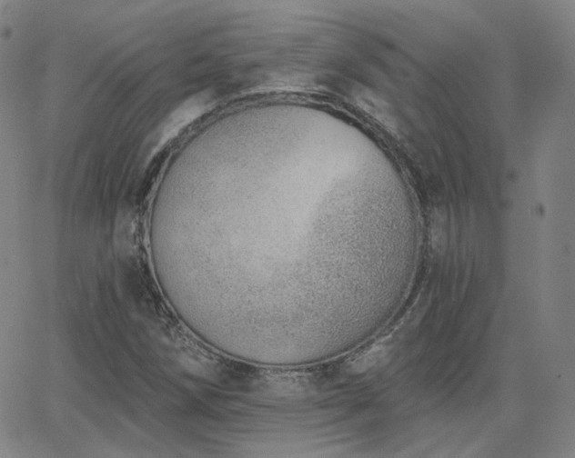 X0000063451258200601201211