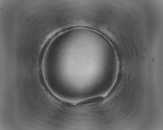 X0000063451264200601201211