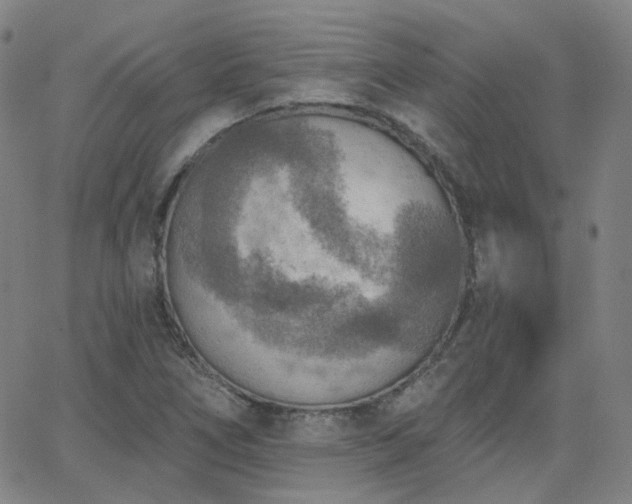 X0000063451266200601201211