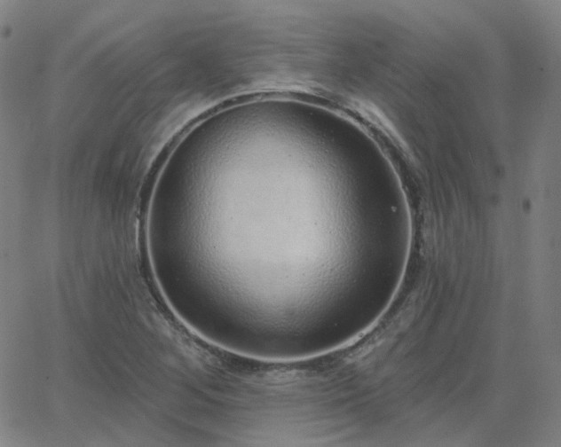 X0000063451268200601201211