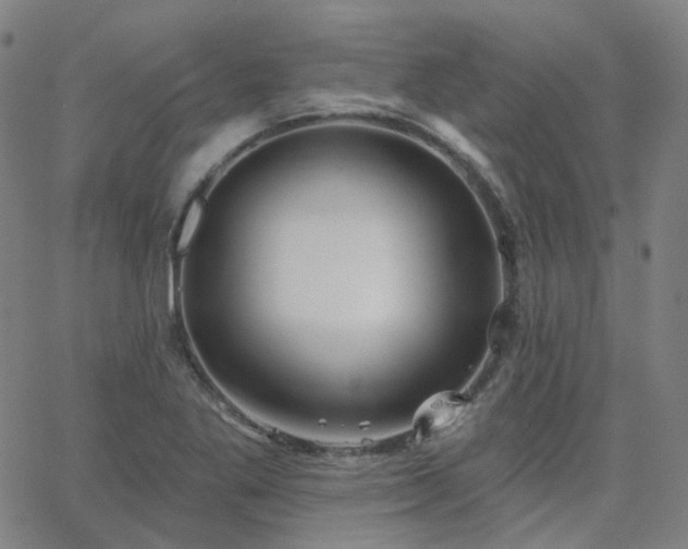 X0000063451269200601201211