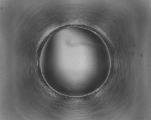 X0000063451270200601201211