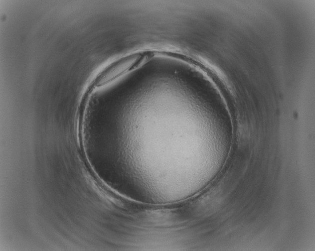 X0000063451272200601201211