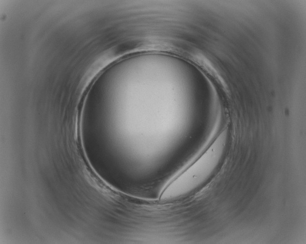 X0000063451276200601201211