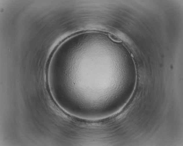 X0000063451280200601201211