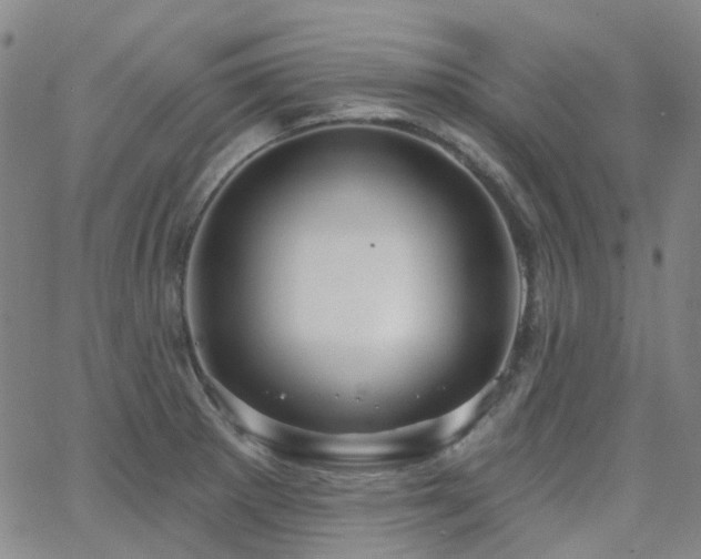 X0000063451281200601201211
