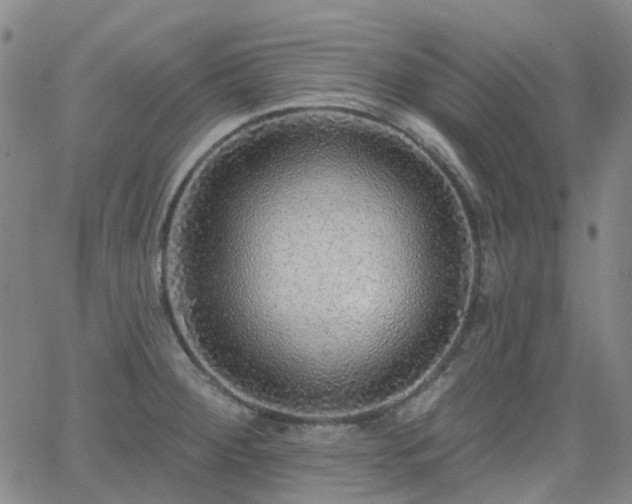 X0000063451284200601201211