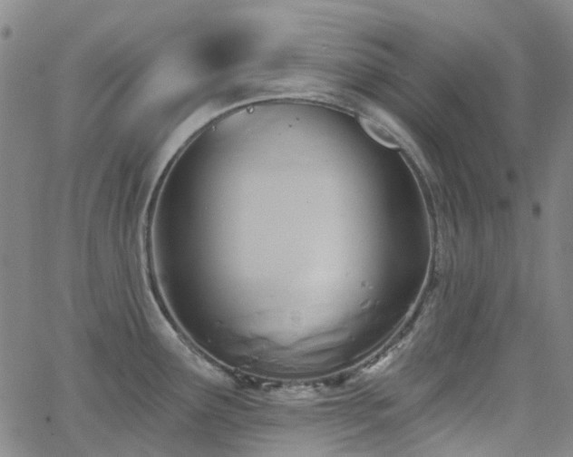 X0000063451291200601201211