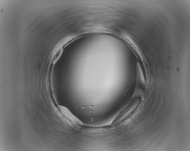 X0000063451293200601201211
