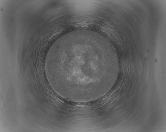 X0000063451297200601201210