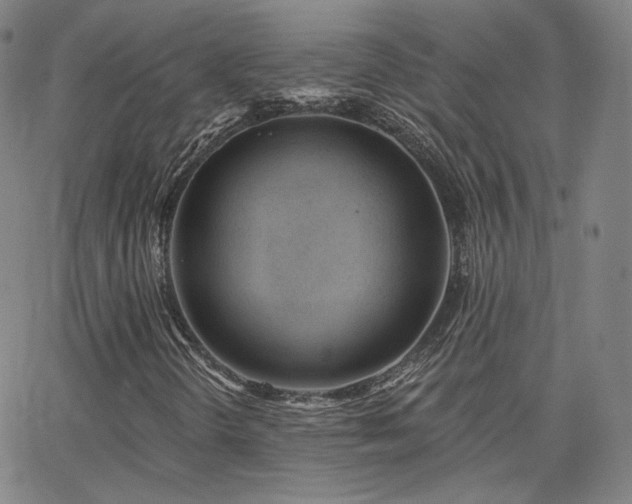 X0000063451298200601201210