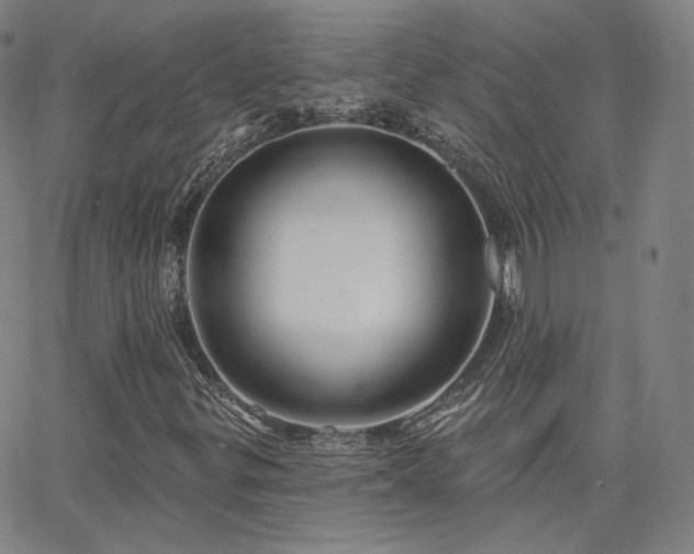 X0000063451299200601201210