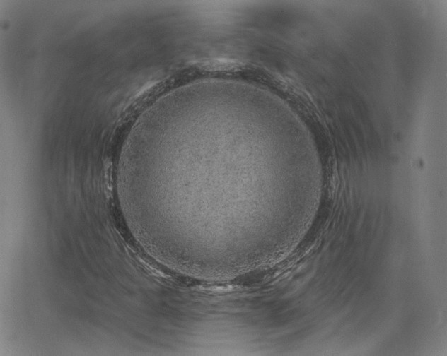 X0000063451301200601201210