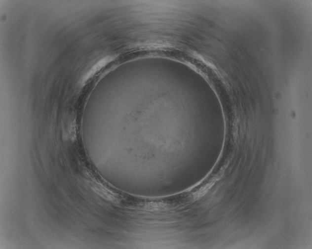 X0000063451306200601201210