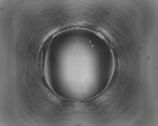 X0000063451308200601201210