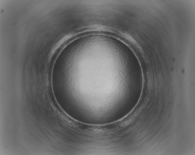 X0000063451318200601201210