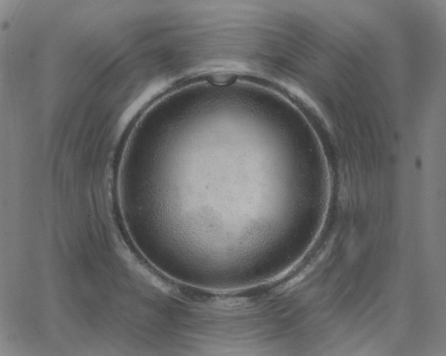 X0000063451325200601201210