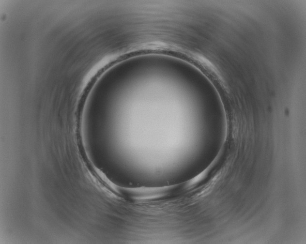 X0000063451326200601201210